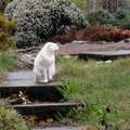 DSC07416